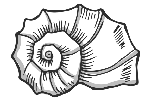 Snail Shell Hand Drawn Icon for Graphics and Illustrations